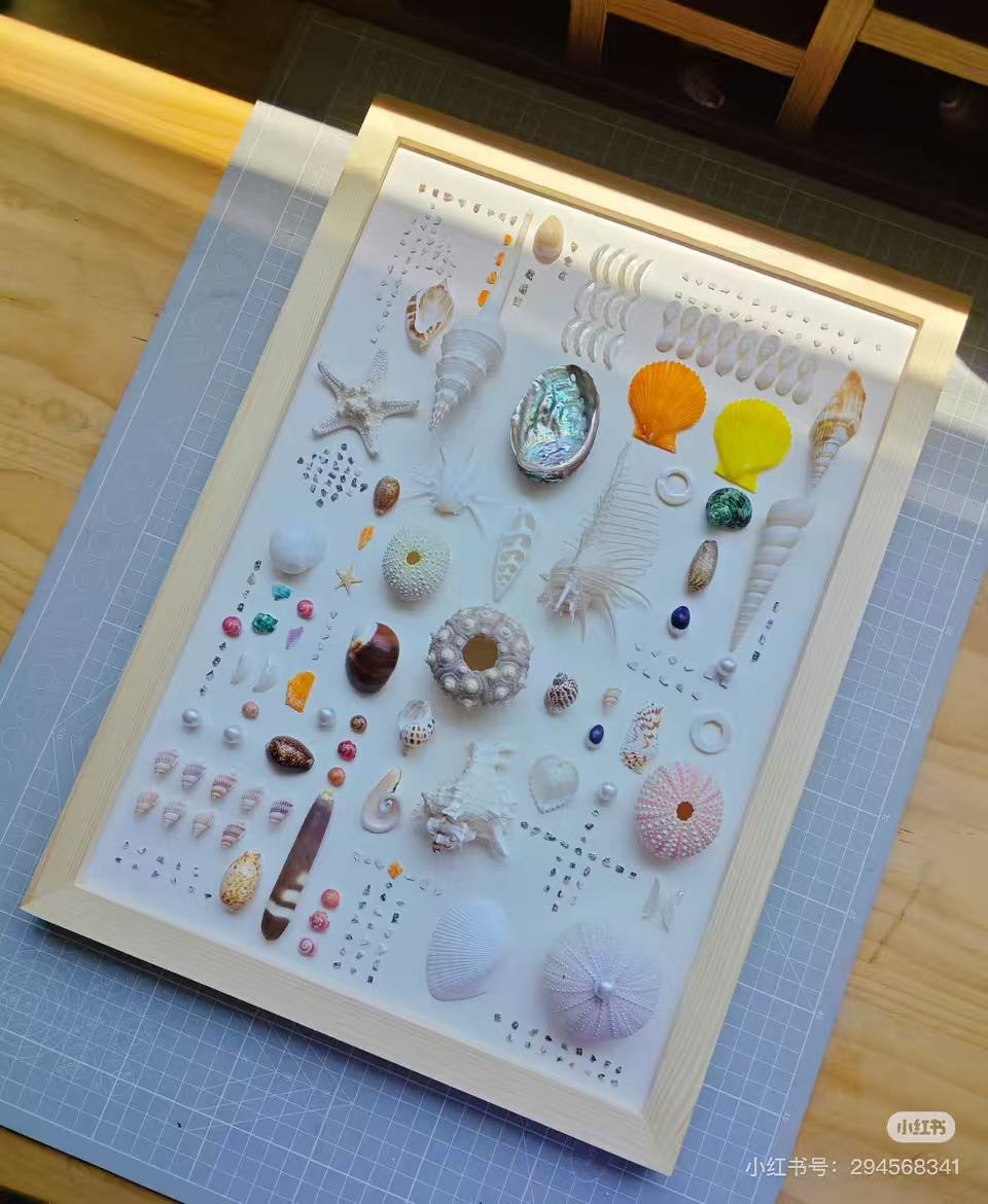 Ocean Specimen Gallery Collection